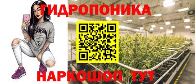 прущая мука Кимры